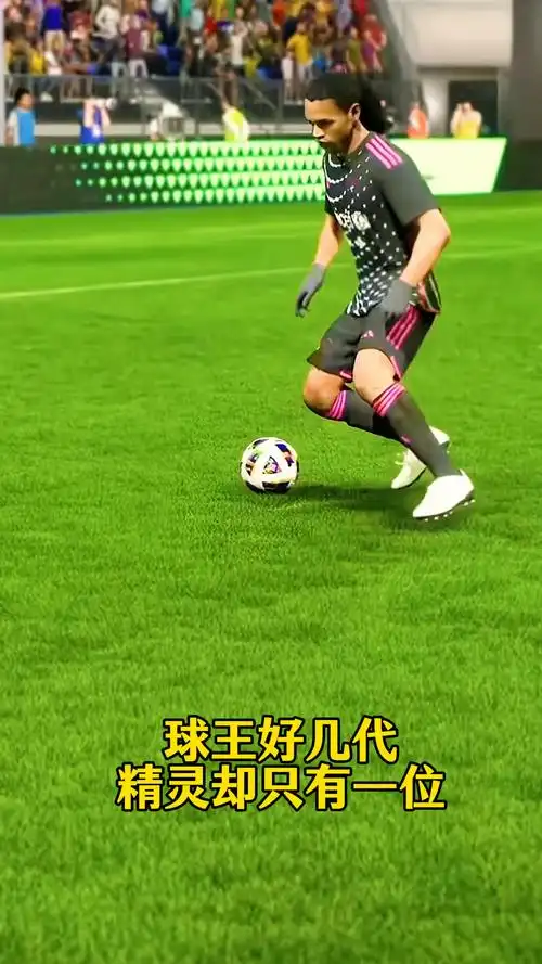 他职业生涯